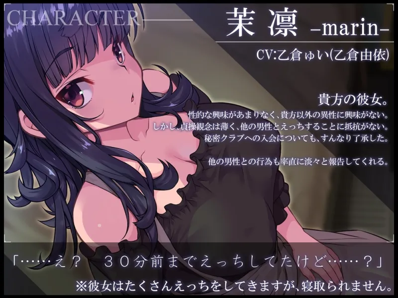 本文説明画像