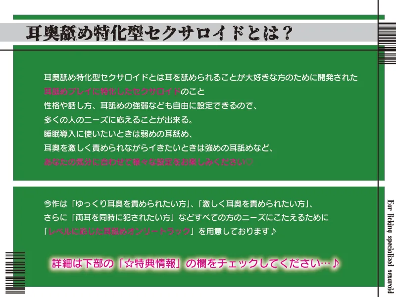 本文説明画像