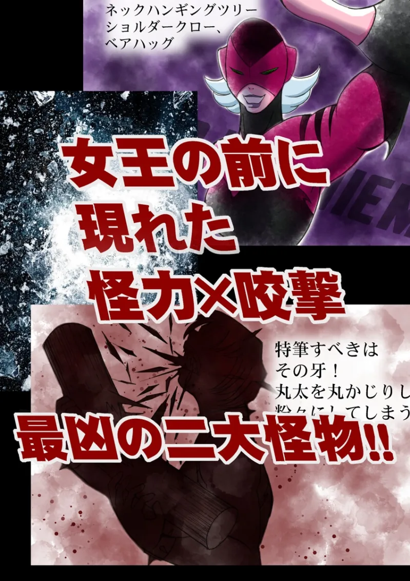 美少女プロレス・リリーエンジェルス【エピソード 13】