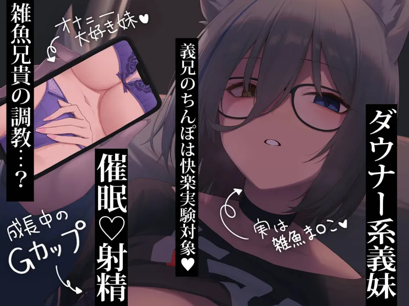 本文説明画像