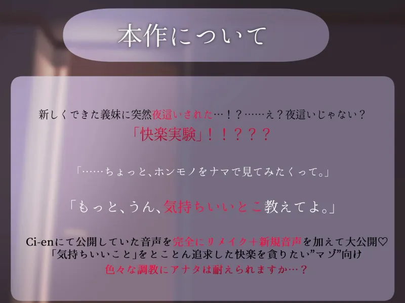 本文説明画像