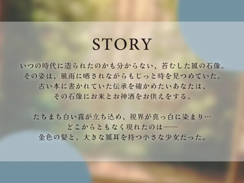 本文説明画像