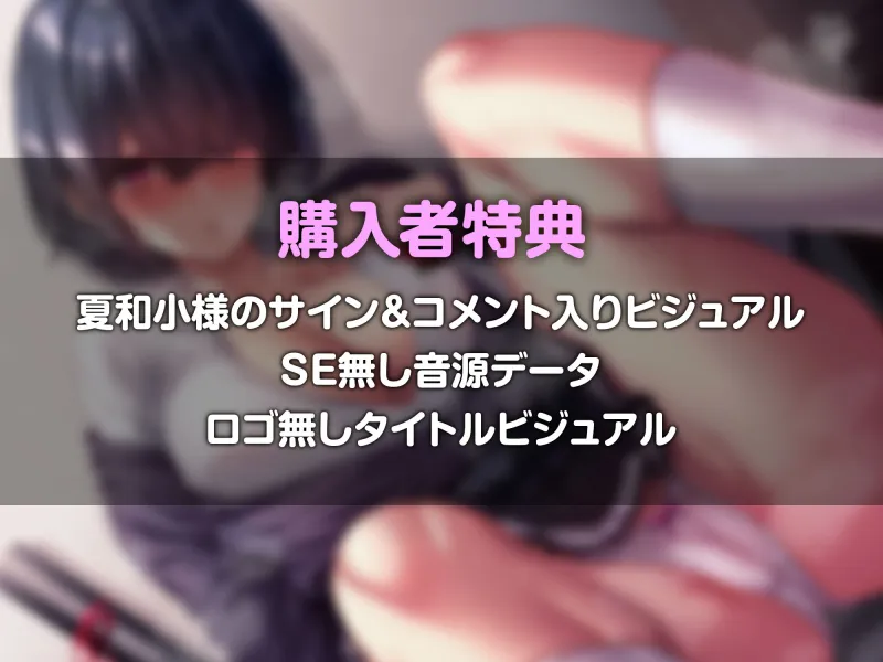本文説明画像