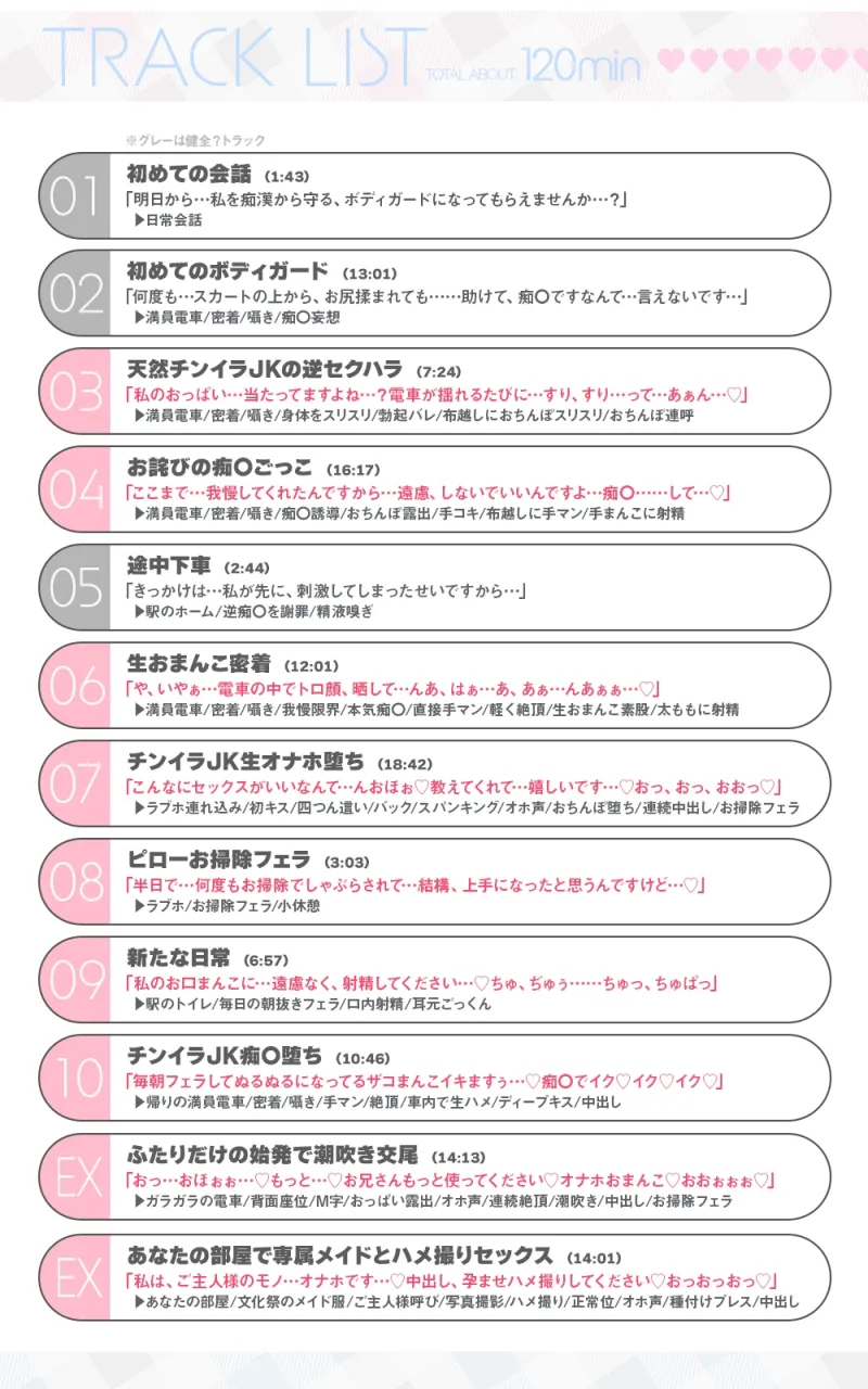 本文説明画像