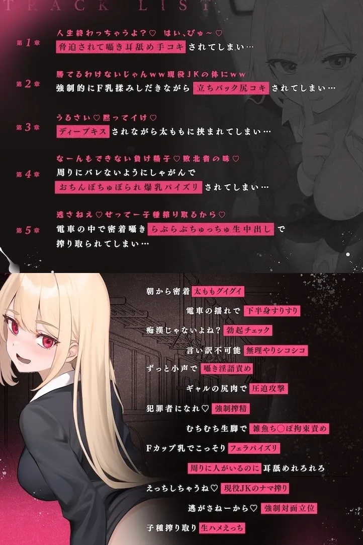 本文説明画像