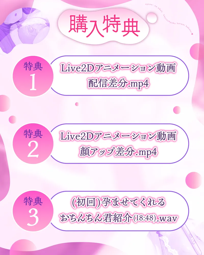 本文説明画像