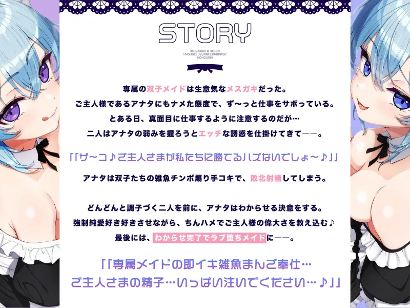 本文説明画像