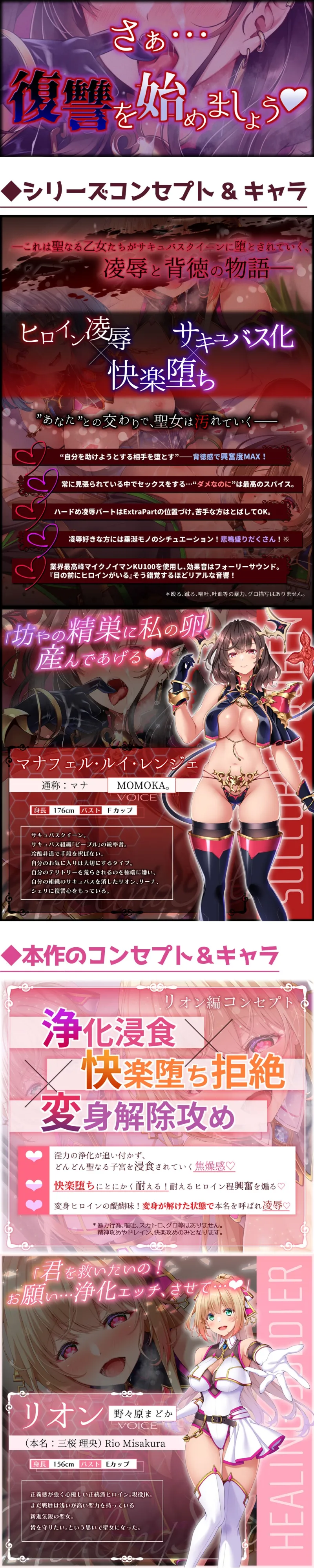 本文説明画像