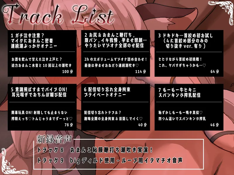 本文説明画像