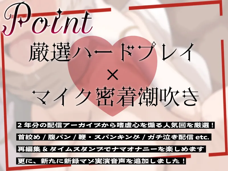 本文説明画像