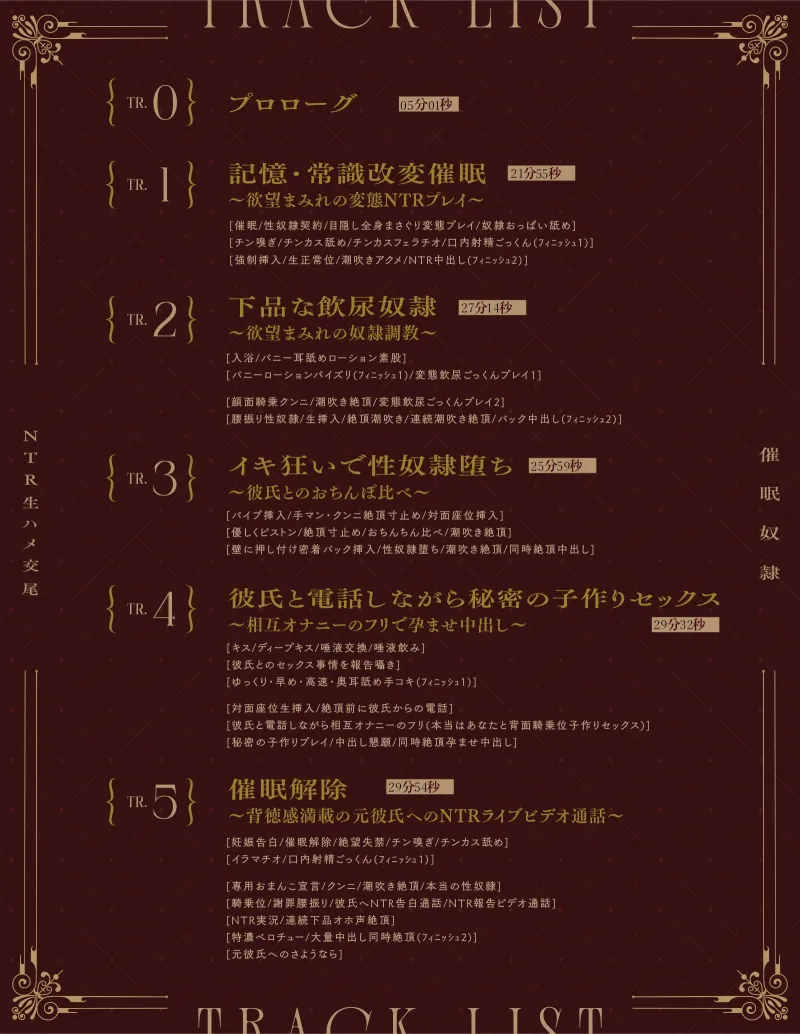 本文説明画像