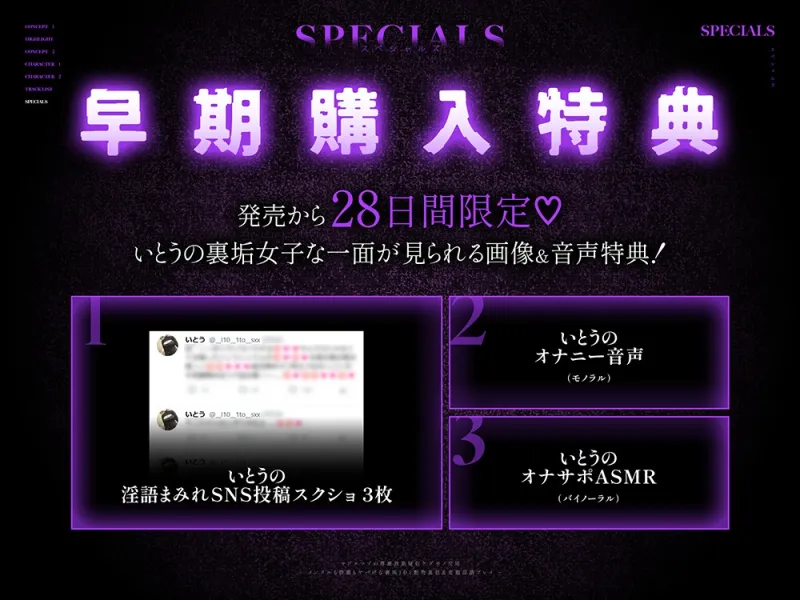 本文説明画像