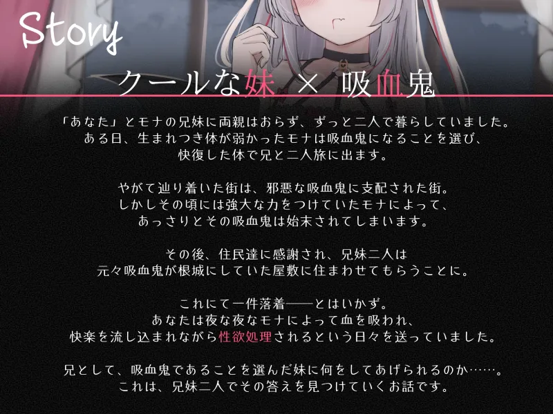 本文説明画像