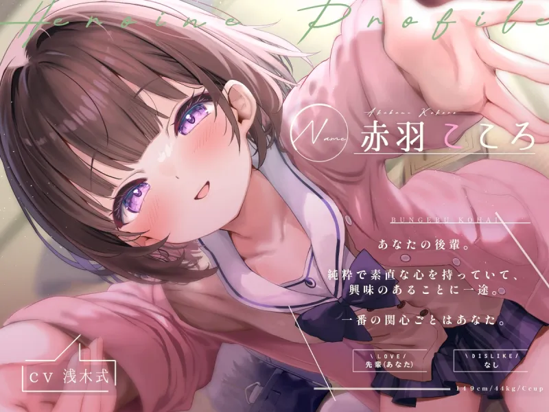 本文説明画像