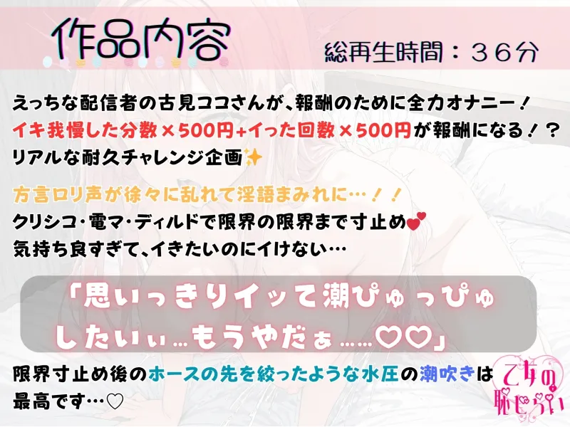本文説明画像