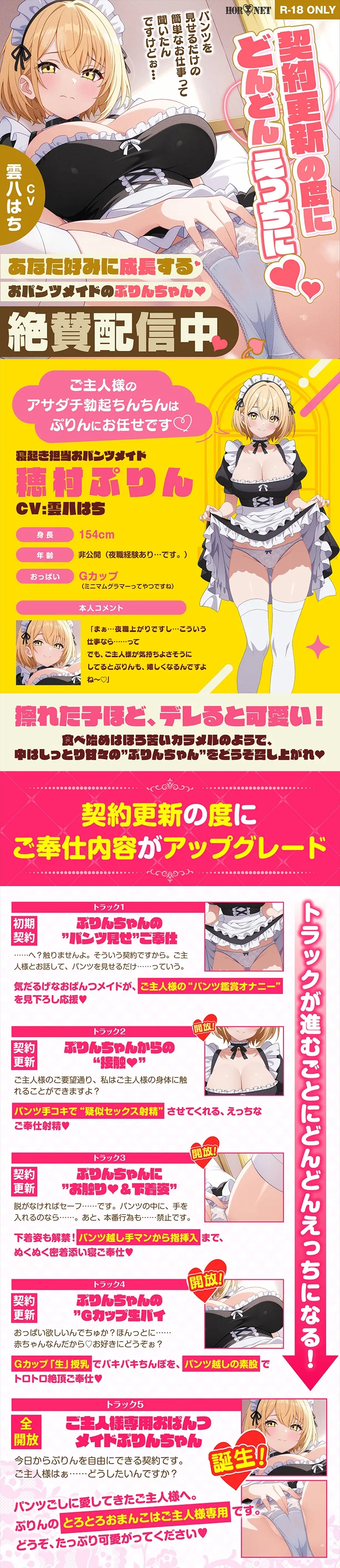 本文説明画像