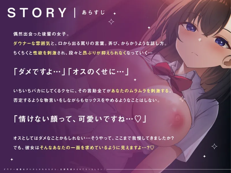 本文説明画像