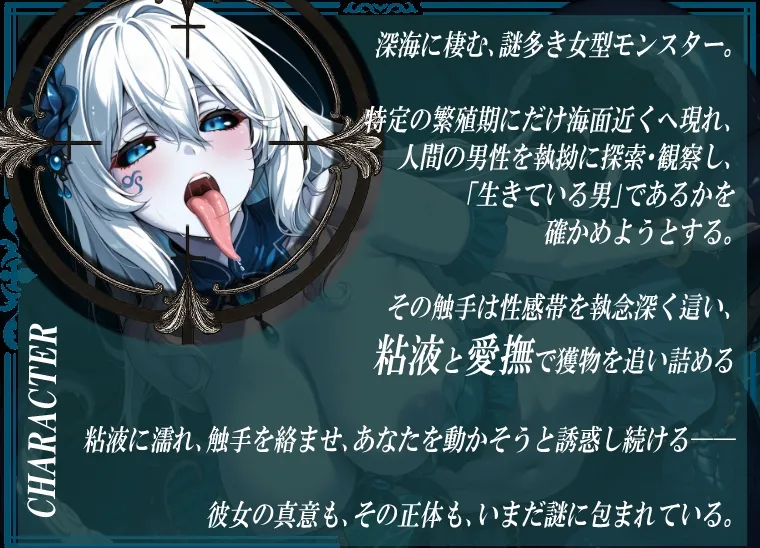 本文説明画像