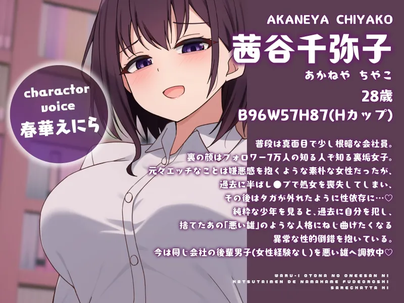 本文説明画像