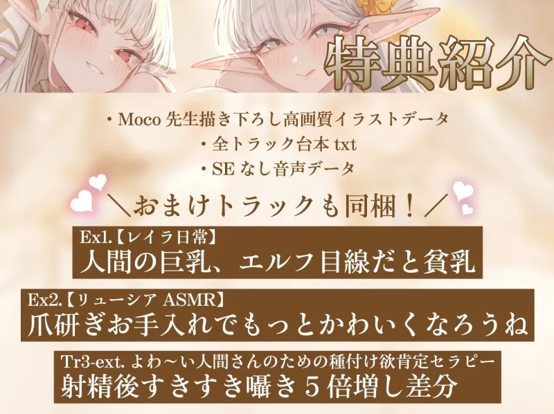 本文説明画像