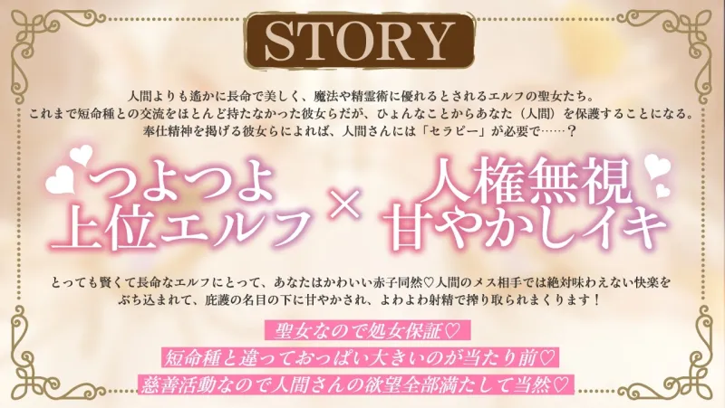 本文説明画像