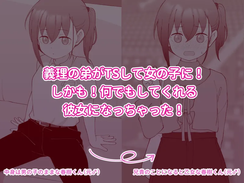 本文説明画像