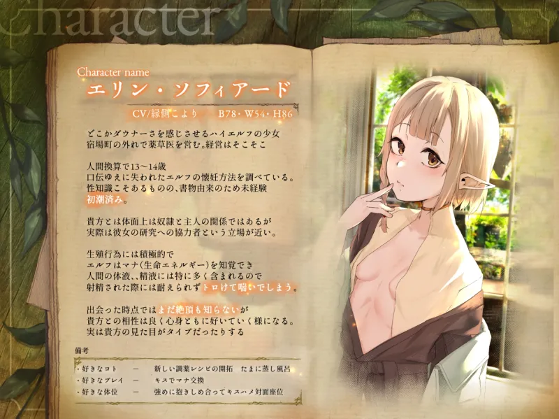 本文説明画像