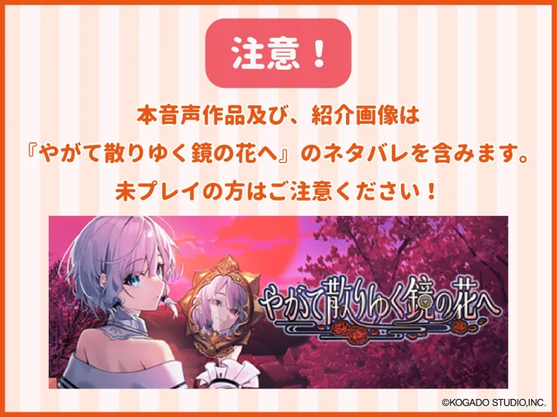 本文説明画像