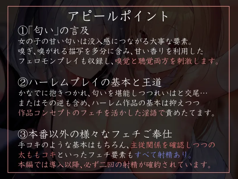 本文説明画像