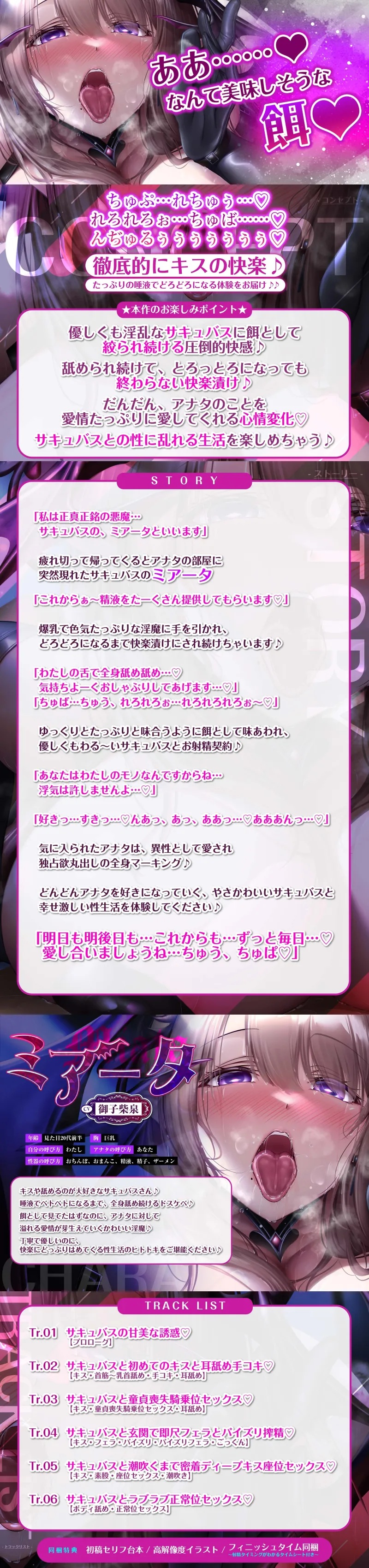 本文説明画像