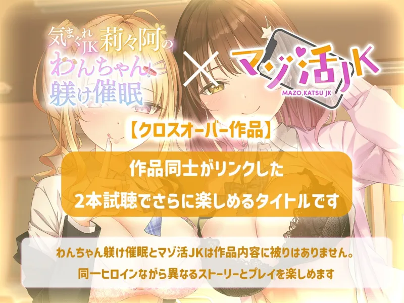 本文説明画像