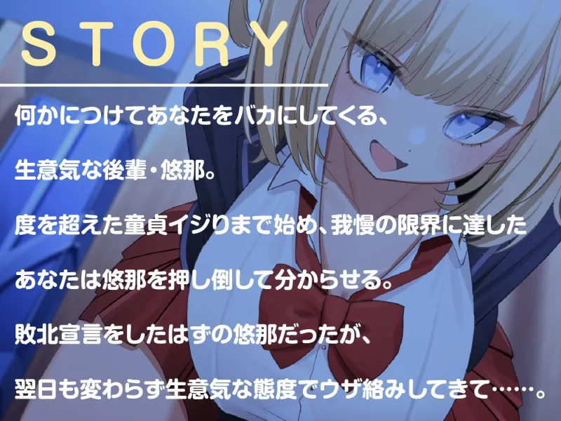 本文説明画像