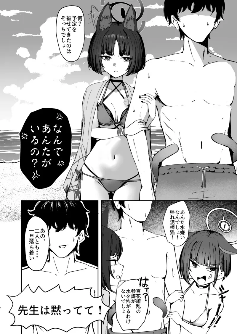 猫ノ海乱