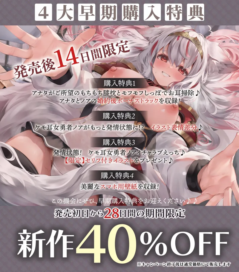 本文説明画像