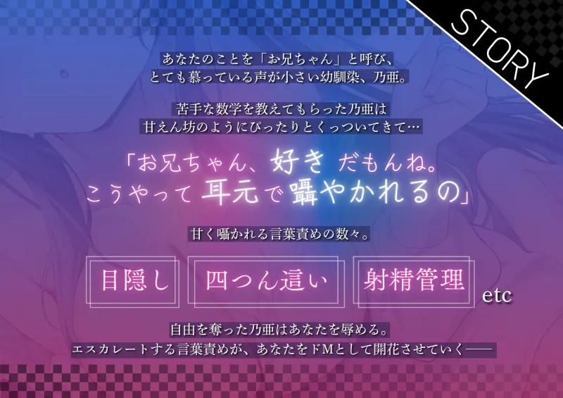 本文説明画像