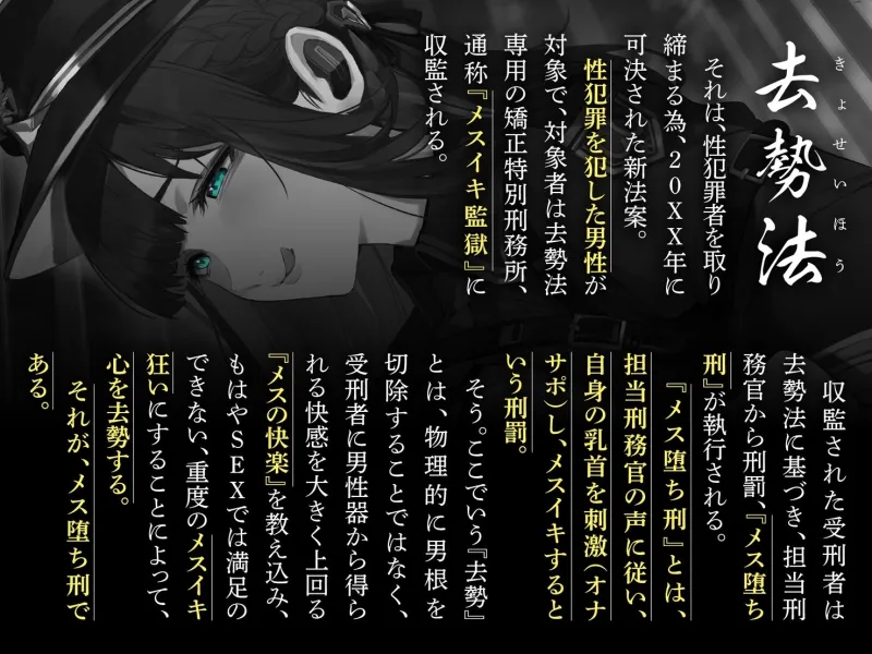 本文説明画像