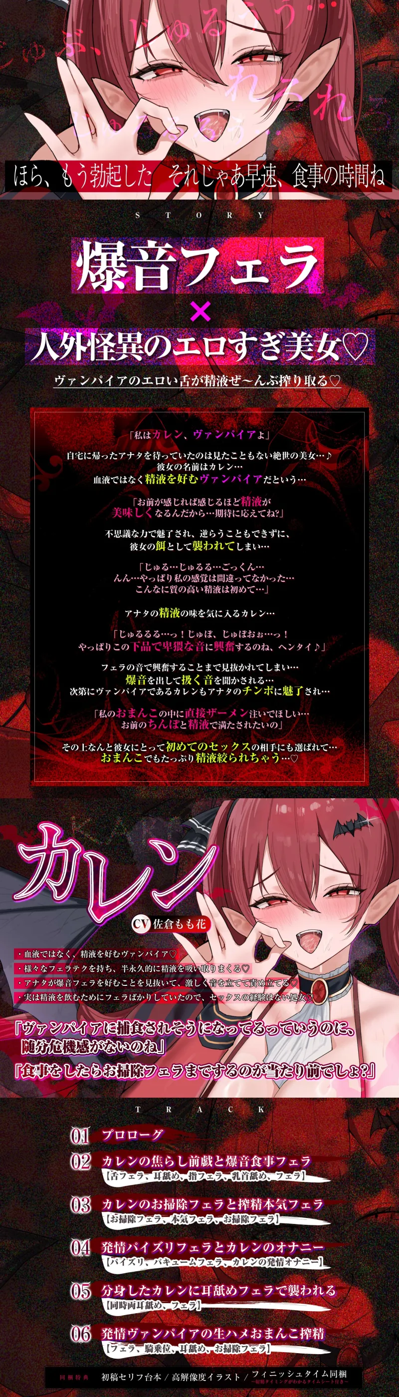本文説明画像