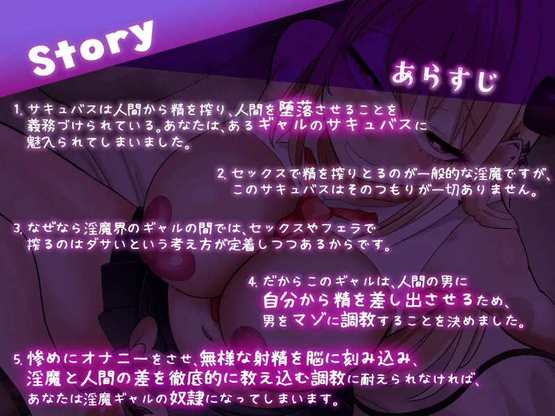 本文説明画像