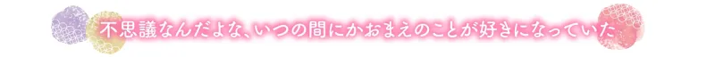 本文説明画像