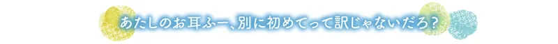 本文説明画像