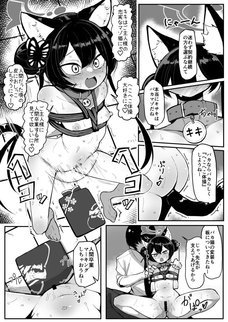 妃裂