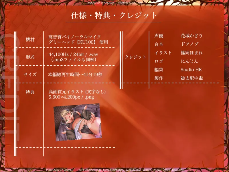 本文説明画像