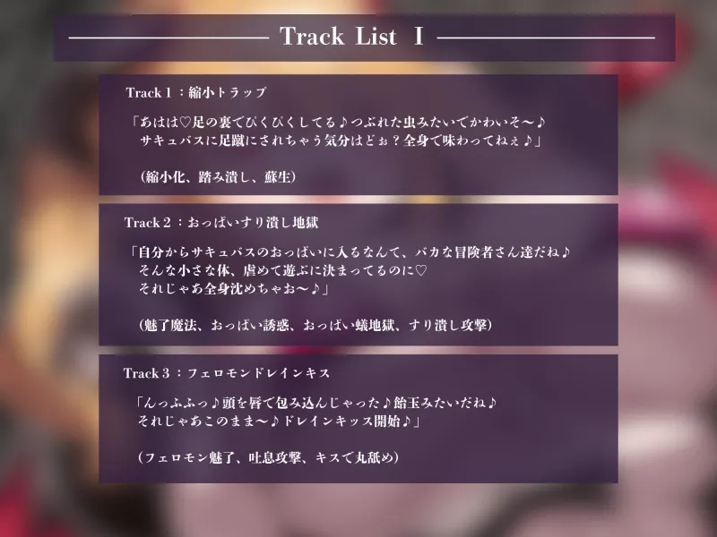 本文説明画像