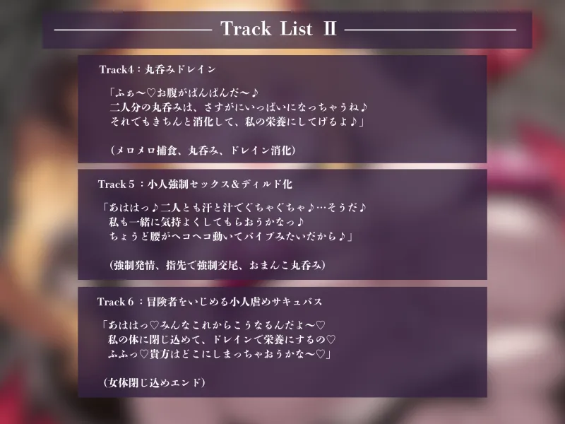 本文説明画像