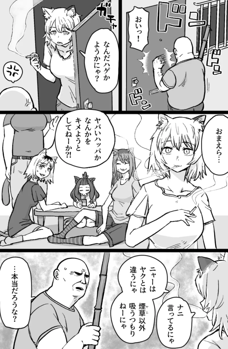 ねこねこ☆ドリーマー