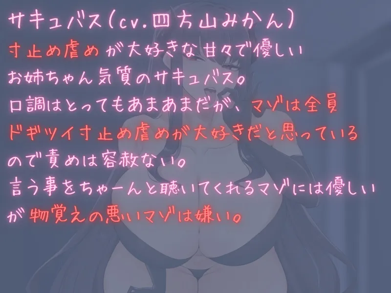 とっても優しいあまあまおねーちゃんサキュバス様の寸止め虐めで奴隷堕ちさせられる音声
