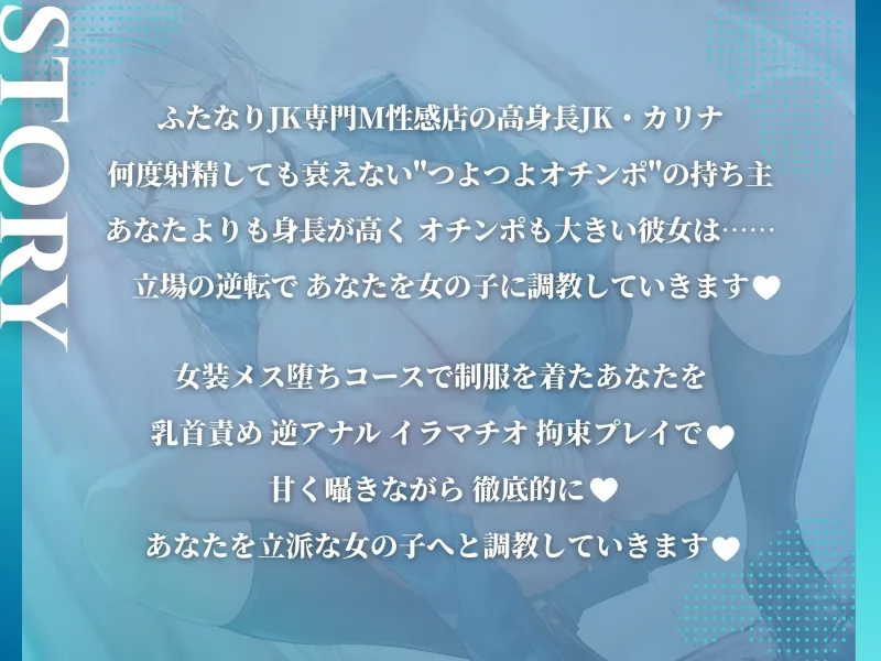 本文説明画像