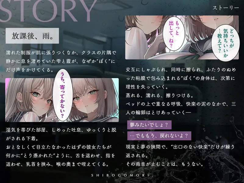 本文説明画像