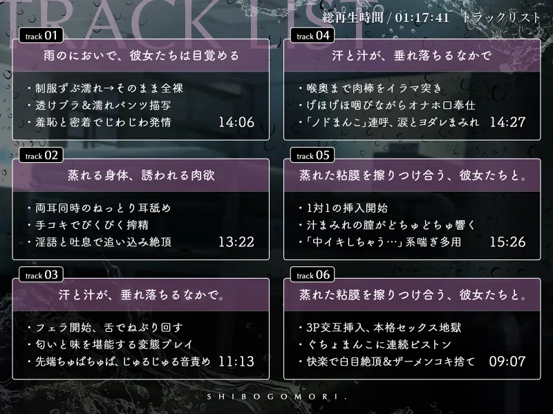 本文説明画像