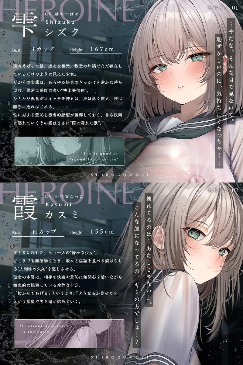 本文説明画像